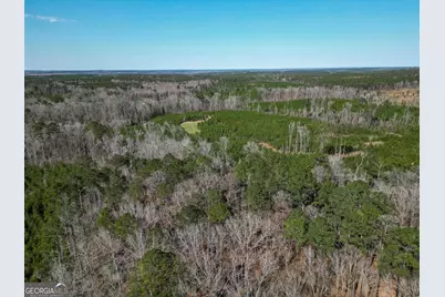 1298 Days Avenue, Morris, GA 39867 - Photo 16