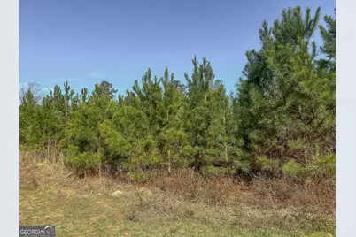 1298 Days Avenue, Morris, GA 39867 - Photo 14
