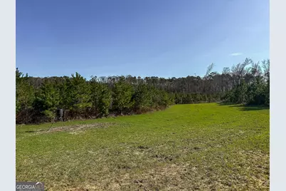1298 Days Avenue, Morris, GA 39867 - Photo 2