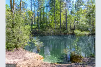 5855 Tony Peck Road, Murrayville, GA 30564 - Photo 74