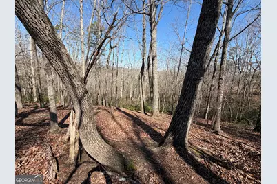 0 Tanager Trail, Alto, GA 30510 - Photo 2