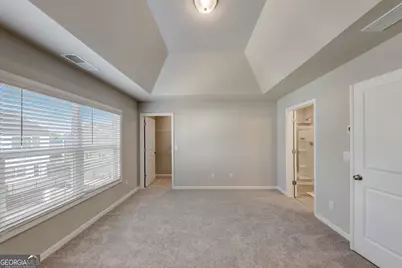 43 Cobalt Lane, Newnan, GA 30265 - Photo 12