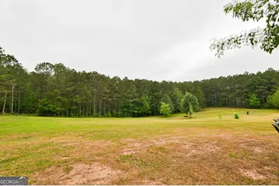 298 Millard Farmer Road, Newnan, GA 30263 - Photo 38