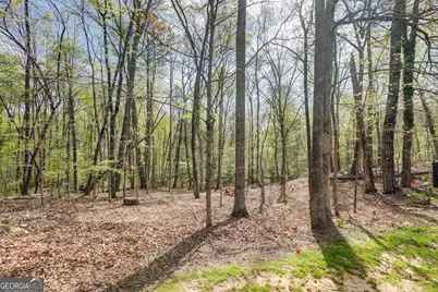 310 Rock Hill Dr, Fayetteville, GA 30215 - Photo 42