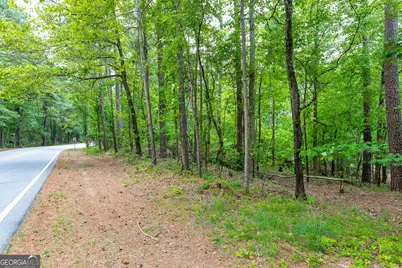 221 N Cove Drive, Peachtree City, GA 30269 - Photo 20