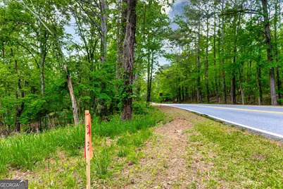 221 N Cove Drive, Peachtree City, GA 30269 - Photo 22