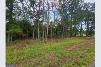 0 Cv Mosley Boulevard, Lyons, GA 30436 - Photo 8