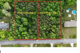 2243 Timber Ln, Snellville, GA 30078 - Photo 1