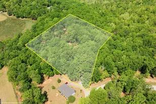 523 Mountain Ranch Rd, Clarkesville, GA 30523 - Photo 38