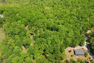 523 Mountain Ranch Rd, Clarkesville, GA 30523 - Photo 42