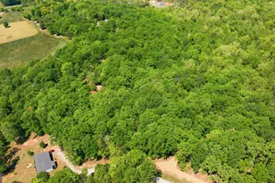 523 Mountain Ranch Rd, Clarkesville, GA 30523 - Photo 48