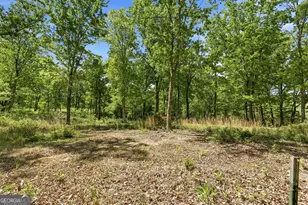 523 Mountain Ranch Rd, Clarkesville, GA 30523 - Photo 30