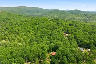 523 Mountain Ranch Rd, Clarkesville, GA 30523 - Photo 56