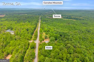 5880 Hwy 320, Toccoa, GA 30577 - Photo 26