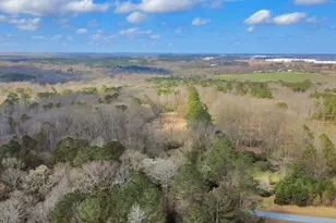 138 Lewis Rd, Jackson, GA 30233 - Photo 16