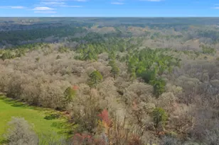 138 Lewis Rd, Jackson, GA 30233 - Photo 12