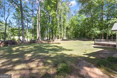 1255 Fischer Road, Sharpsburg, GA 30277 - Photo 46