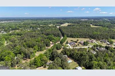 1255 Fischer Road, Sharpsburg, GA 30277 - Photo 56