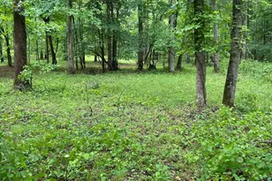 565 Hawks Trail, Newborn, GA 30056 - Photo 52