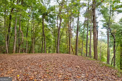 Lot 99R Ponca Court, Ellijay, GA 30540 - Photo 10