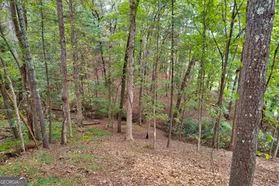Lot 99R Ponca Court, Ellijay, GA 30540 - Photo 12