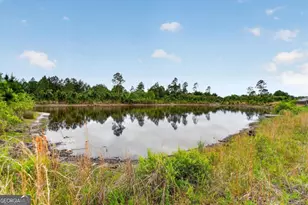 1766 Wiregrass Wy, Hinesville, GA 31313 - Photo 38