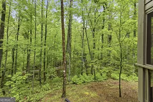 634 Little Hawk Rd, Sautee Nacoochee, GA 30571 - Photo 44