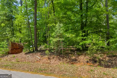 440 Knottywood Drive, Lavonia, GA 30553 - Photo 14