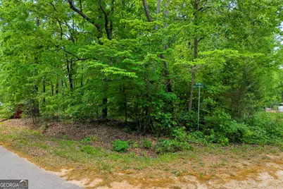440 Knottywood Drive, Lavonia, GA 30553 - Photo 34