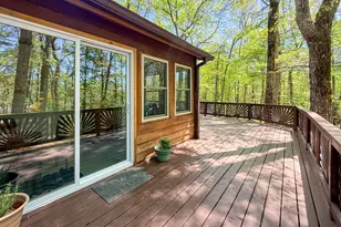 163 Horse Range Pl, Cleveland, GA 30528 - Photo 22