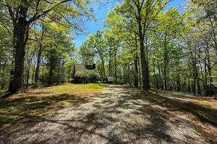 163 Horse Range Pl, Cleveland, GA 30528 - Photo 40