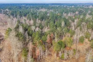 241 Foskey Cemetary Rd, Adrian, GA 31002 - Photo 64