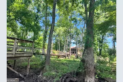 147 Brannen Landing Road, Midville, GA 30441 - Photo 6