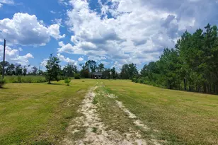 38 W Hwy 46, Lyons, GA 30436 - Photo 42