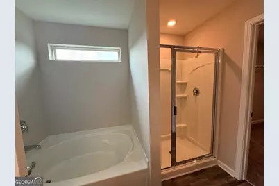 254 Hamilton Pointe Drive, McDonough, GA 30253 - Photo 12