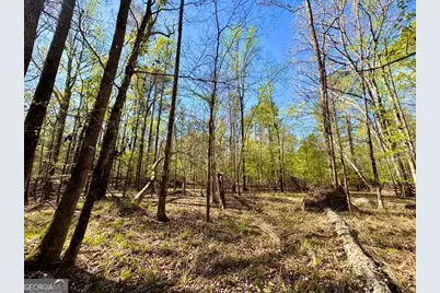260 Black Springs Road NE, Milledgeville, GA 31061 - Photo 60
