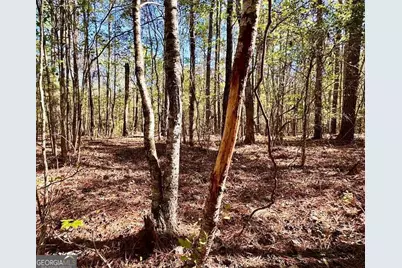 260 Black Springs Road NE, Milledgeville, GA 31061 - Photo 72