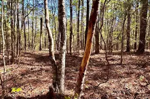 260 Black Springs Rd NE, Milledgeville, GA 31061 - Photo 72