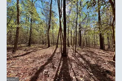 260 Black Springs Road NE, Milledgeville, GA 31061 - Photo 74