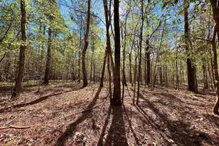 260 Black Springs Rd NE, Milledgeville, GA 31061 - Photo 74