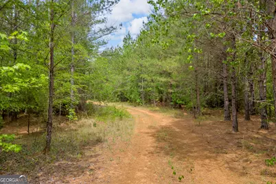 0 Upper Mill Road, Crawfordville, GA 30631 - Photo 1