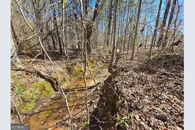 0 River Shoals Court, Covington, GA 30016 - Photo 14