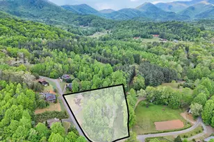 600 Mill Ridge Rd, Hiawassee, GA 30546 - Photo 4