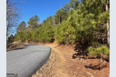 0 High Mile Ln, Blairsville, GA 30512 - Photo 8