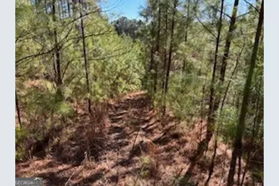 0 High Mile Ln, Blairsville, GA 30512 - Photo 6