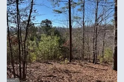 0 High Mile Ln, Blairsville, GA 30512 - Photo 2