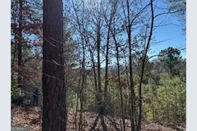 0 High Mile Ln, Blairsville, GA 30512 - Photo 4