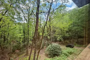 881 Mule Branch Rd, Helen, GA 30545 - Photo 34