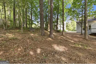 6310 Braidwood Overlook NW, Acworth, GA 30101 - Photo 68