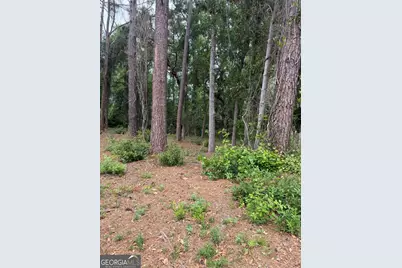 134 Palmera Lane, Brunswick, GA 31520 - Photo 1